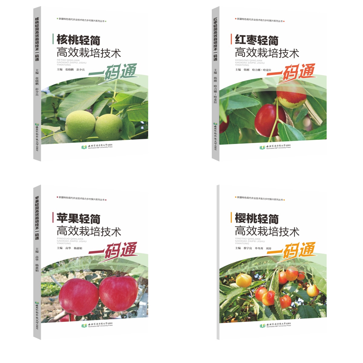 未命名.jpg